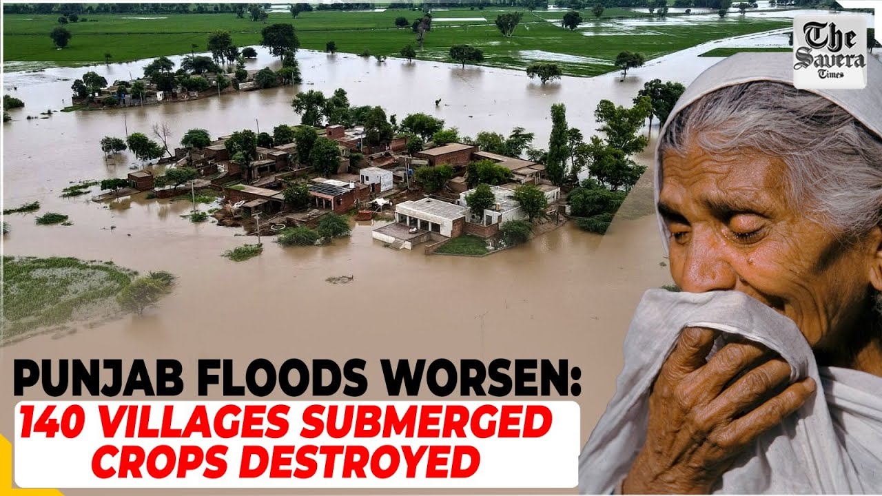 [Live] Punjab Floods Worsen: 140 Villages Submerged, Crops Destroyed