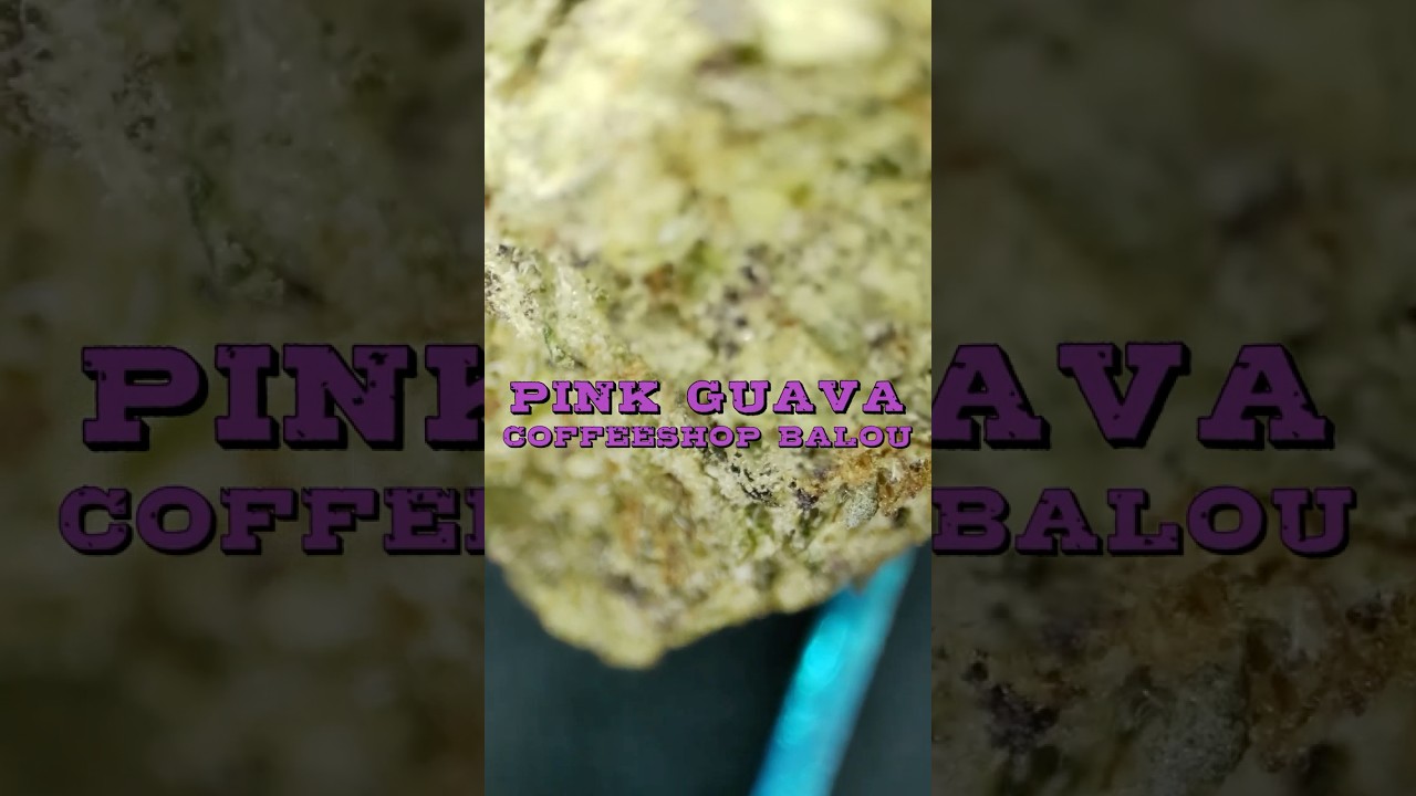PINK GUAVA 🍃 COFFEESHOP BALOU ❌❌❌