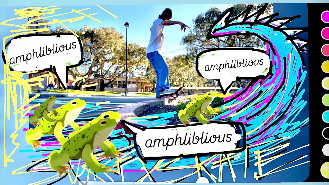 amphliblious - surf / skate 