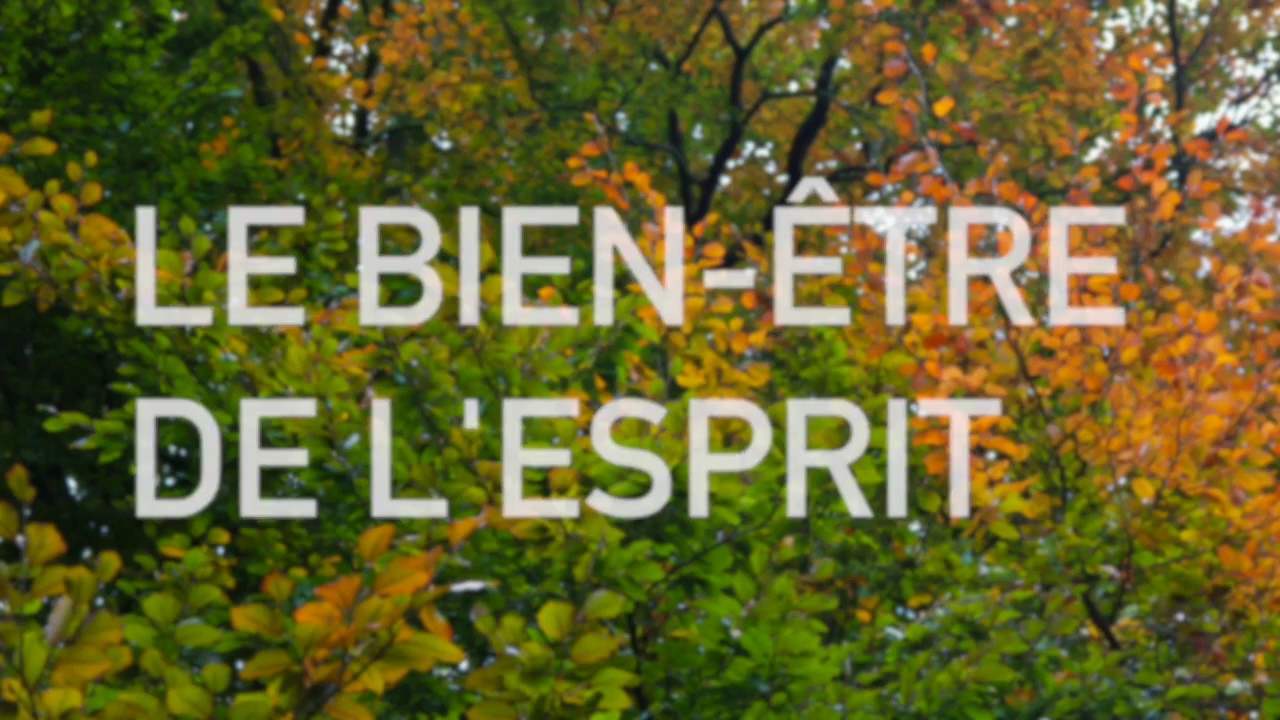 Visualisation - le bien-être de l'esprit ⟡ Ginkgo