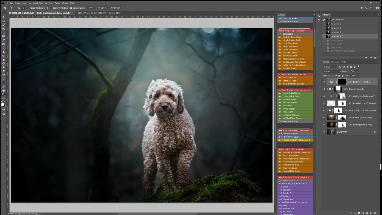 Magical blue-toned dog portrait edit in Photoshop using Fur Babies actions