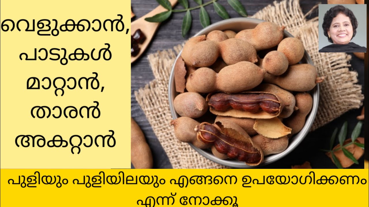 പുളിയുടെ തിരിച്ചറിയാതെ പോയ ഉപയോഗങ്ങൾ | Dr Lizy K Vaidian