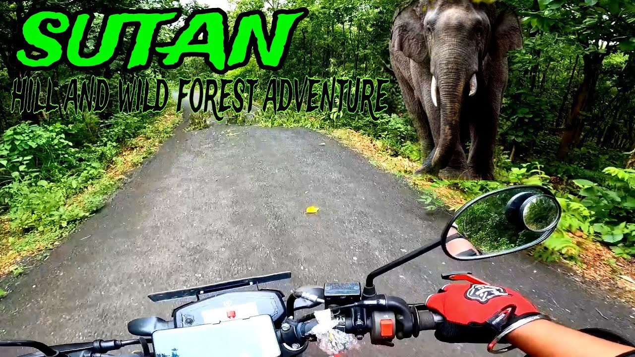 Sutan forest(Bankura)west bengal/১২ মাইল জঙ্গল(jhilimili range)/Sultan forest camp@dipexpress2838