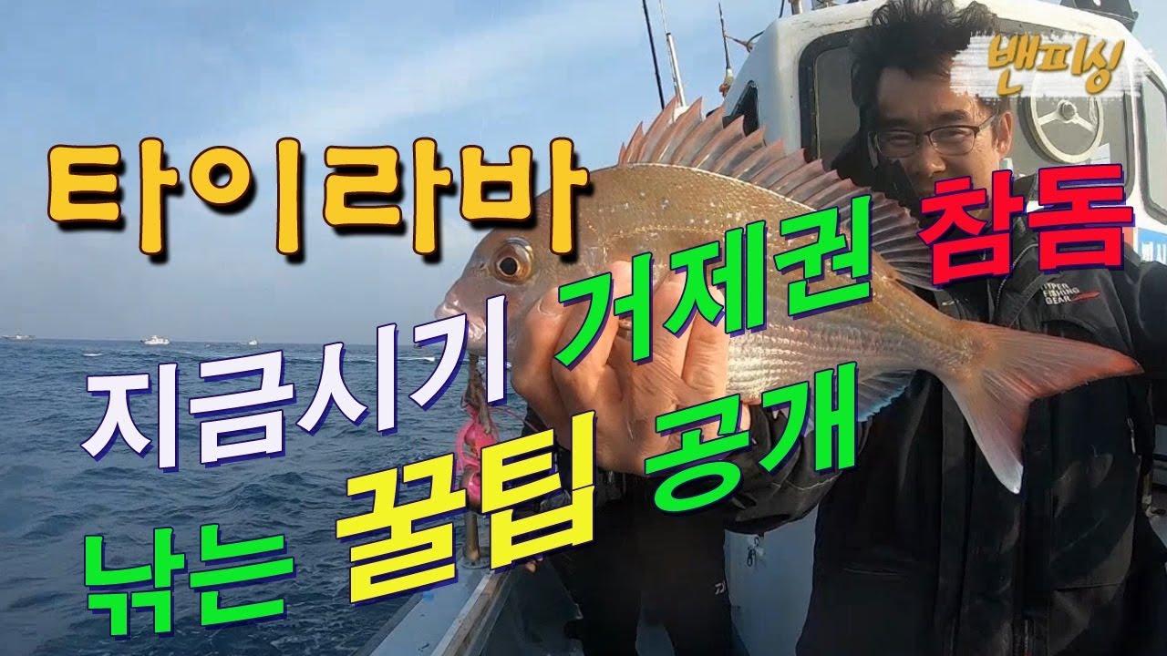 '지금 거제권 저수온기 참돔 타이라바 채비운용은 이렇게 한다' 타이라바 운용방법 거제 타이라바 1세대 전문 낚시꾼에게 배워봅니다 밴피싱 참돔 타이라바 출조