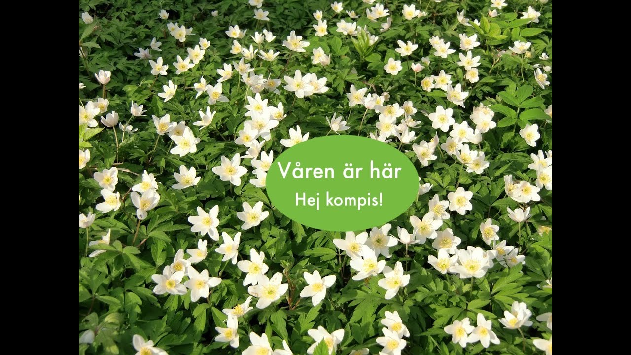 Våren är här