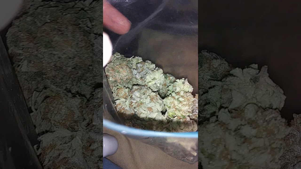 Dank buds
