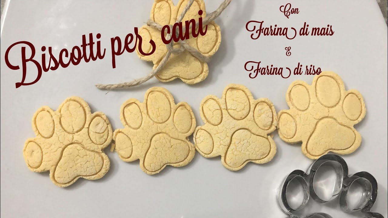 Biscotti per cani - Biscotti per cani mais e riso- Sfizi a 4 zampe 🐾🐾