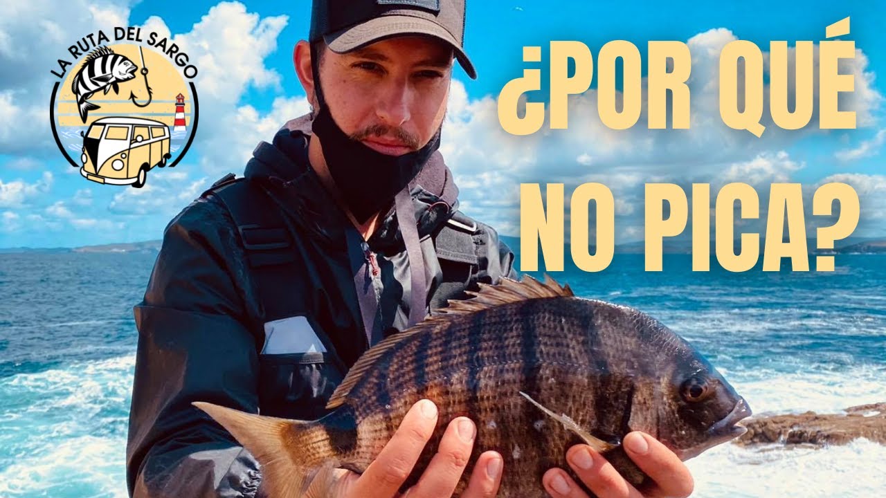 10 GRANDES ERRORES que te impiden PESCAR SARGOS a BOYA