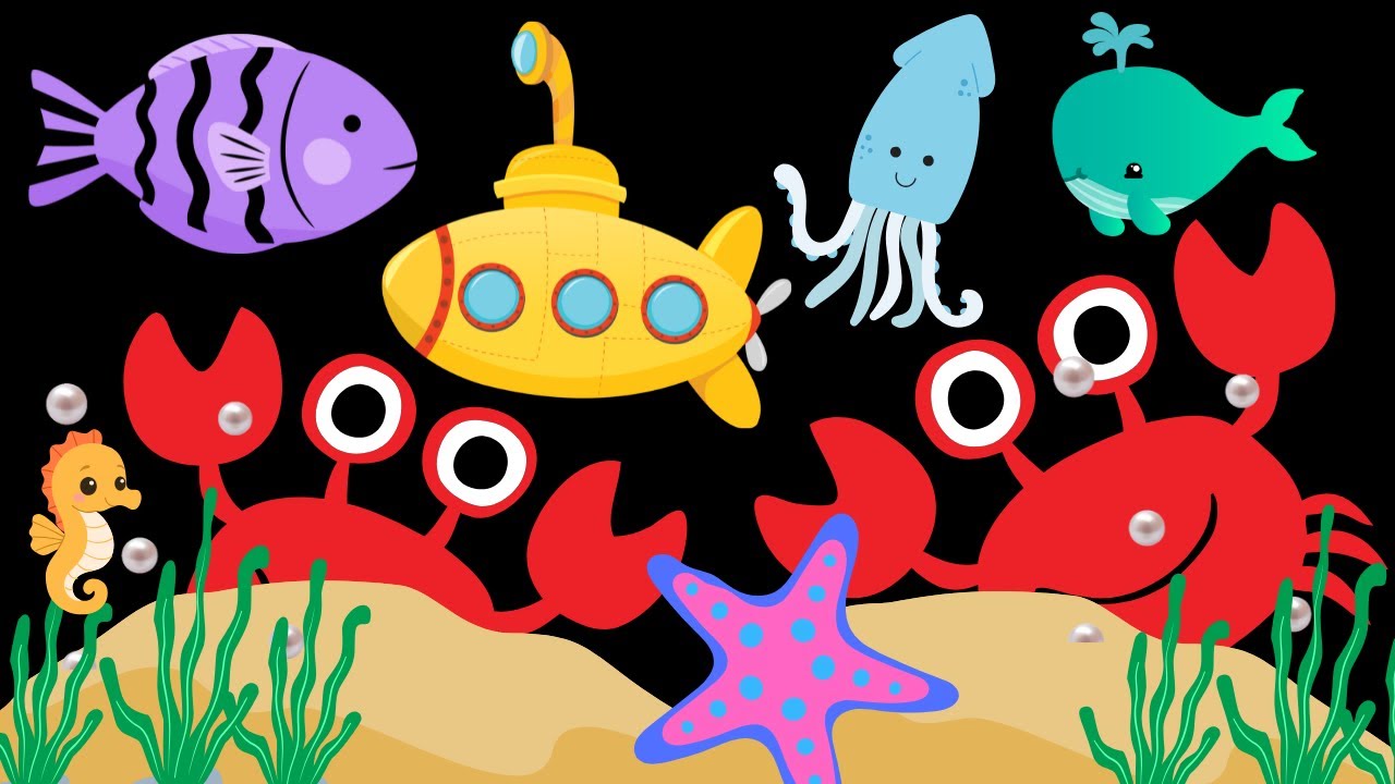 Baby Sensory peekaboo Ocean Adventure high contrast visual stimulation#soothingbabyvideo