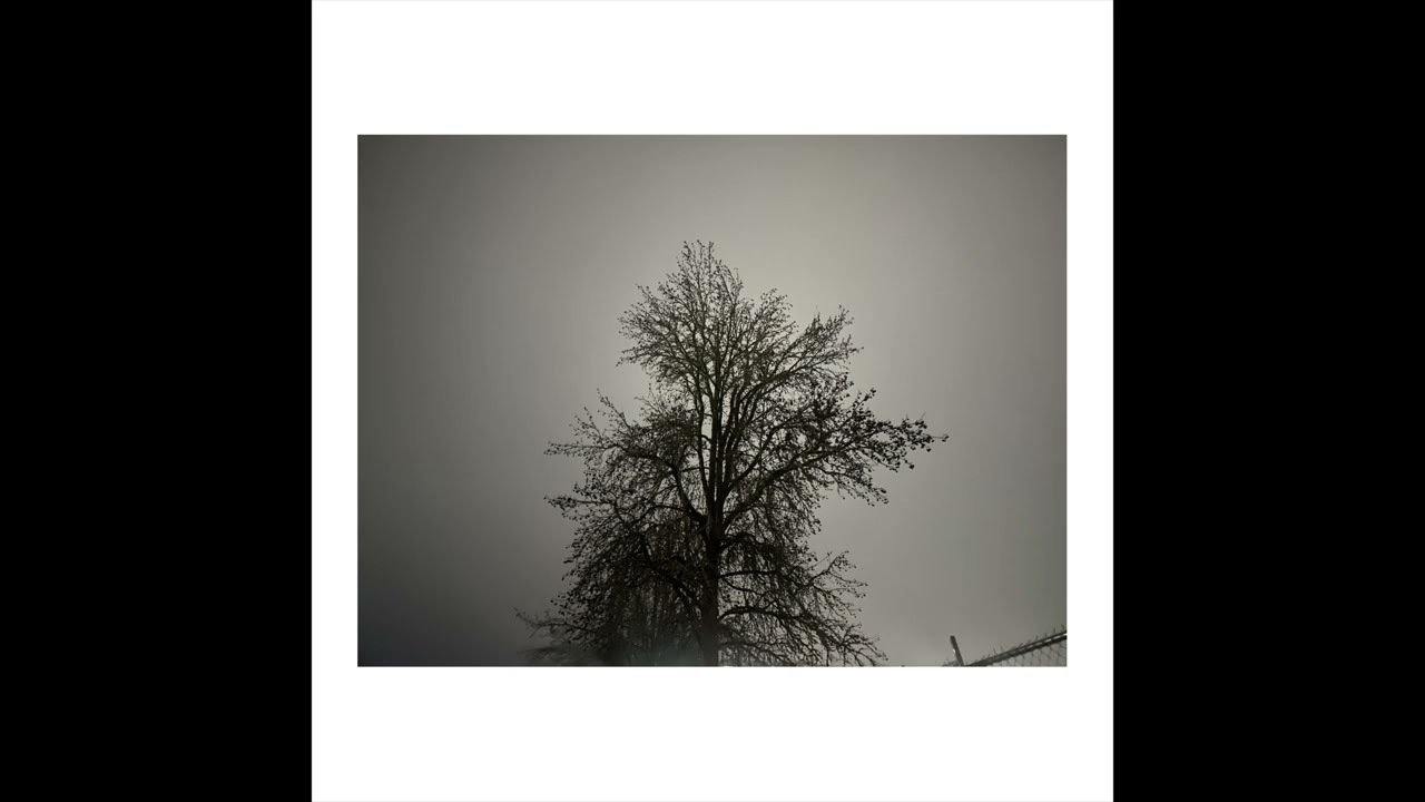 image quality. - brayden