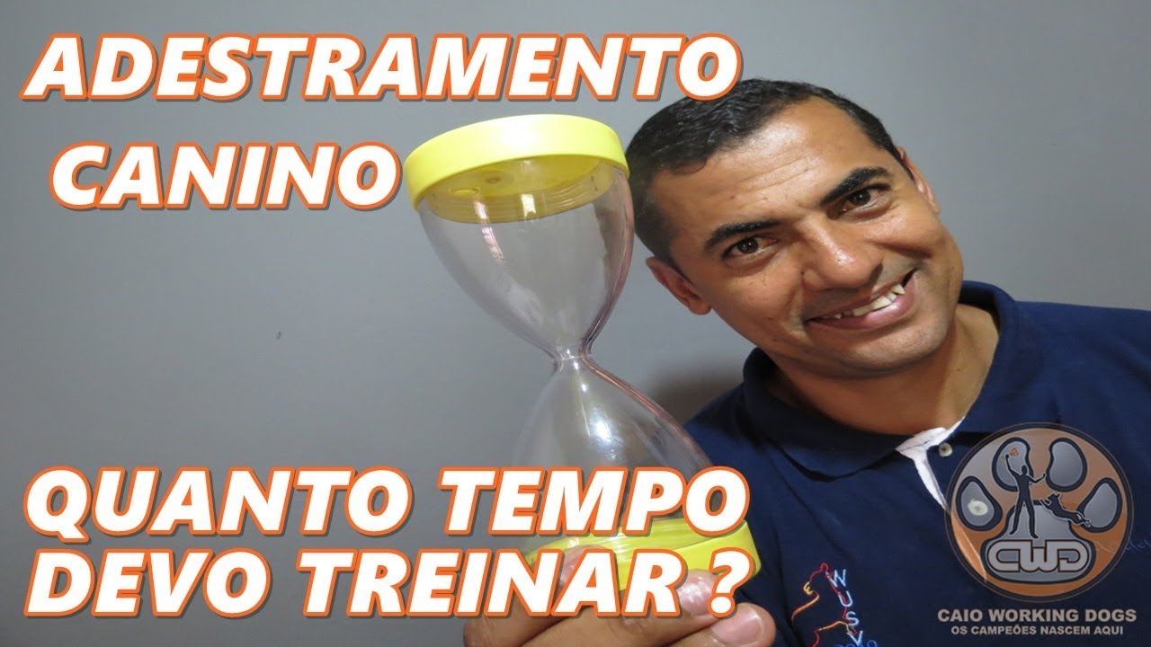 TEMPO DE AULA DE ADESTRAMENTO CANINO - QUANTO DEVO TREINAR?