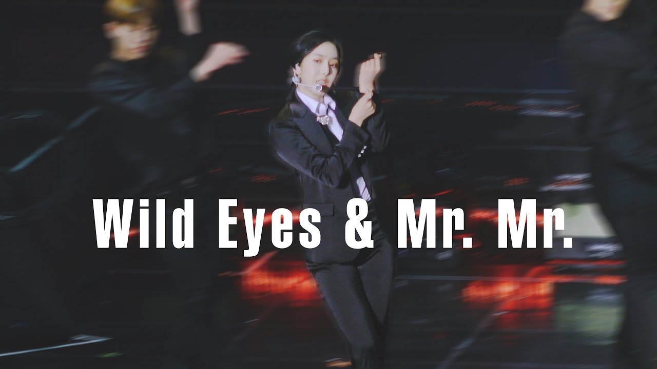 [4K] 180908 여자친구(GFRIEND) 신비(SinB) - Wild Eyes + Mr. Mr. @ 여자친구 앵콜 콘서트 직캠 by afterglow