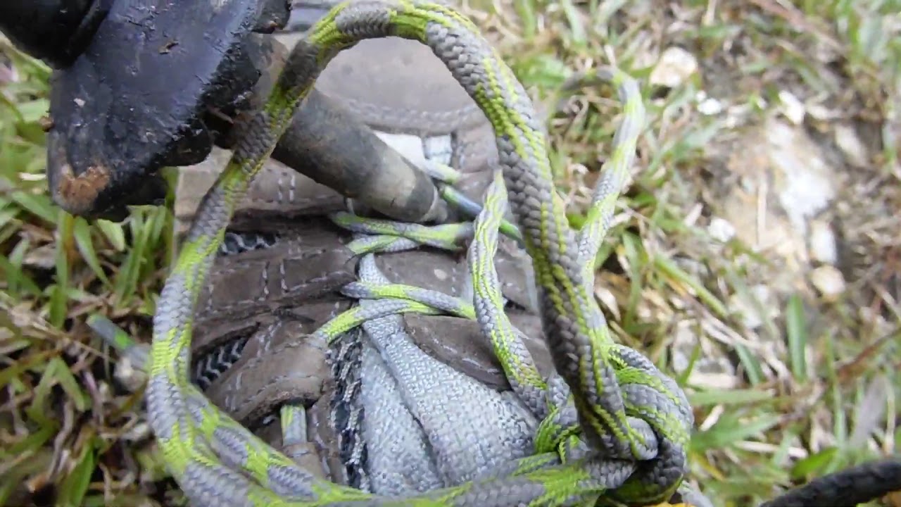 LEECHES IN NEPAL! 😳