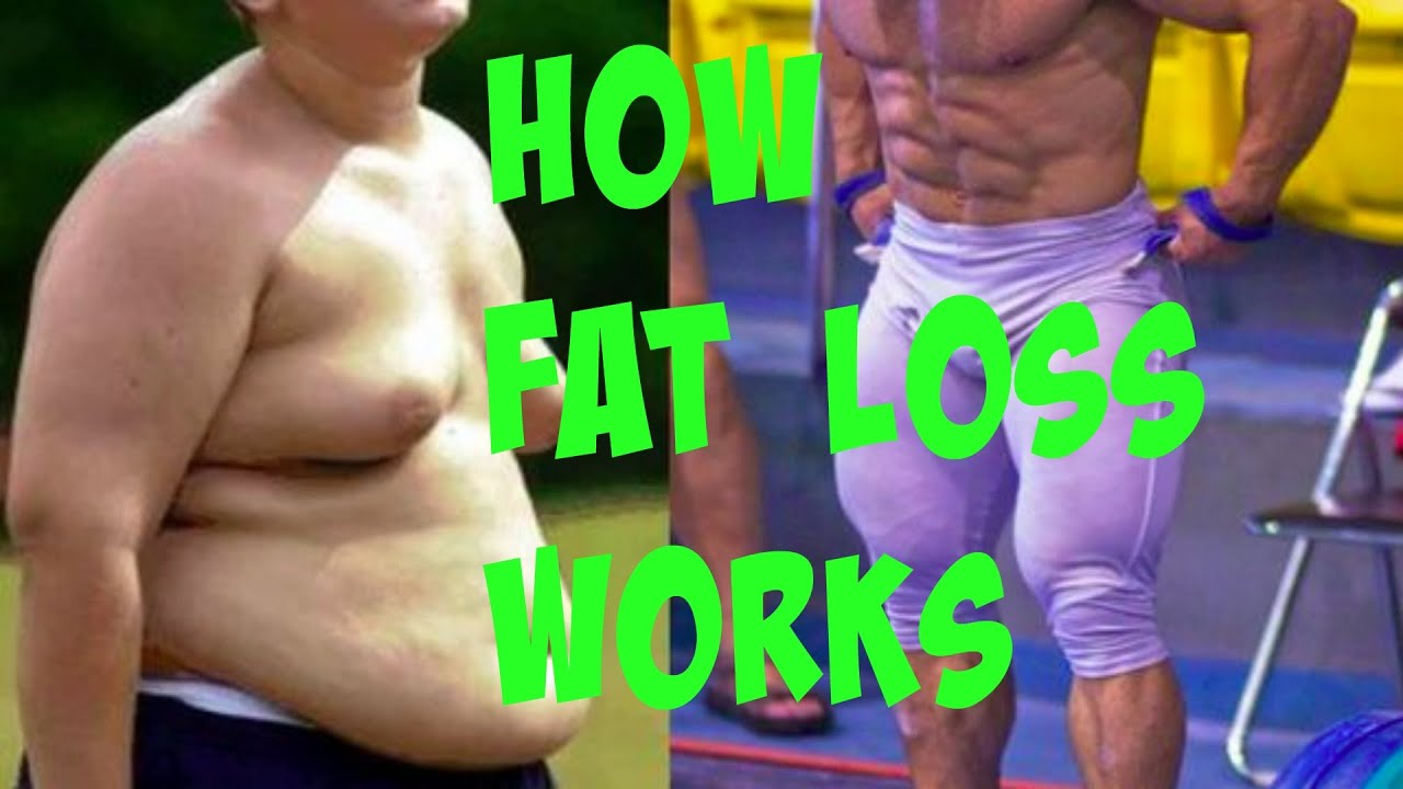 How to lose weight FAST | How Fat loss REALLY works !!!