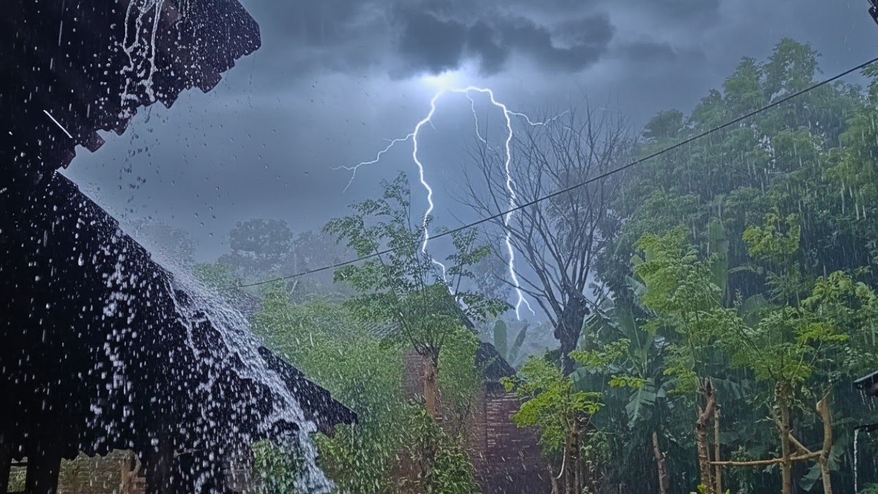 Hujan Deras Tanpa Henti Melanda Desaku yang Asri - White Noise Alami Pengantar Tidur Nyeyakmu!