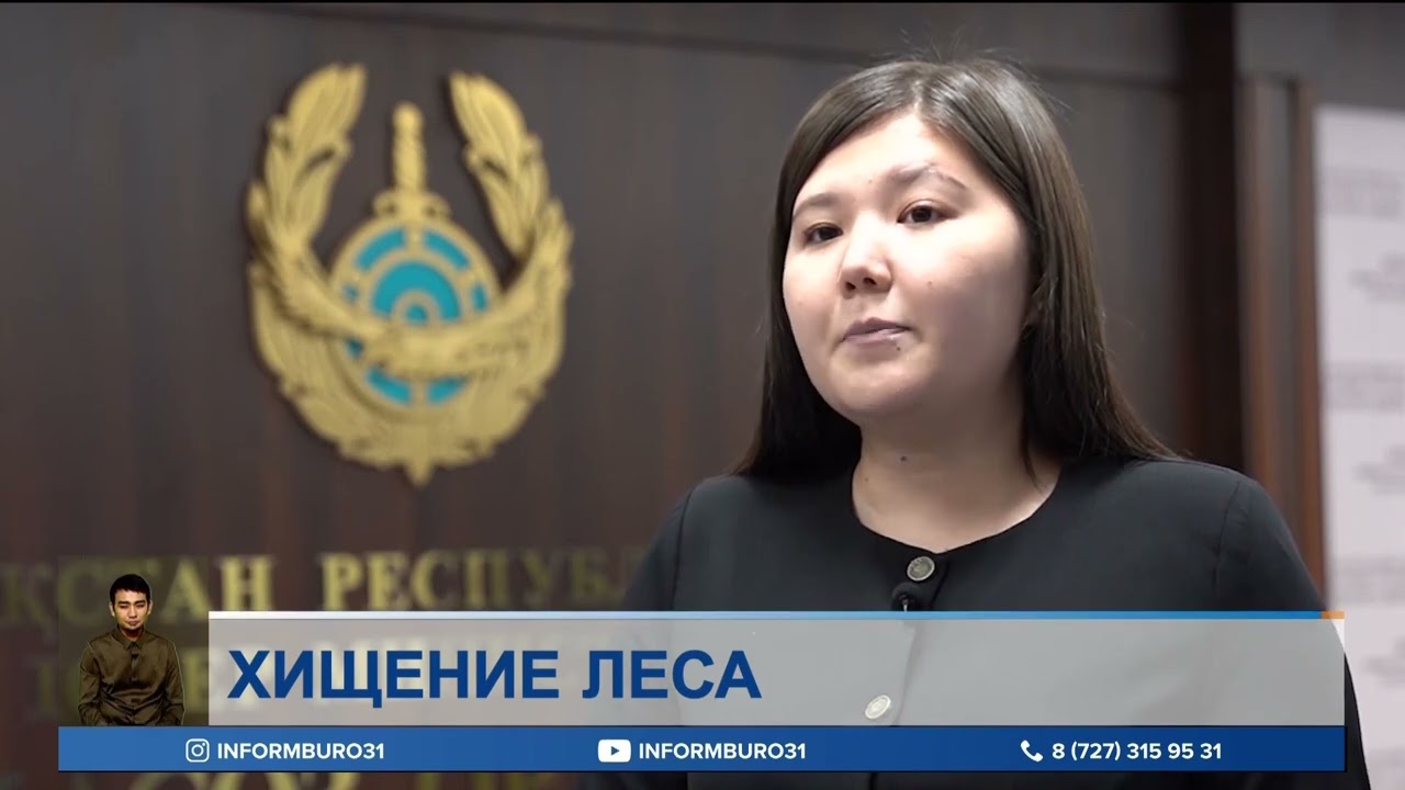 Должностных лиц подозревают в незаконной вырубке леса в резервате «Ертіс орманы»