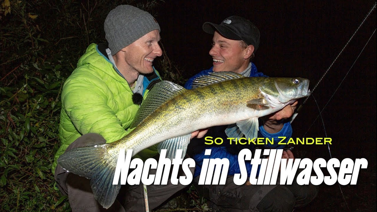 So ticken Zander: Nachts im Stillwasser