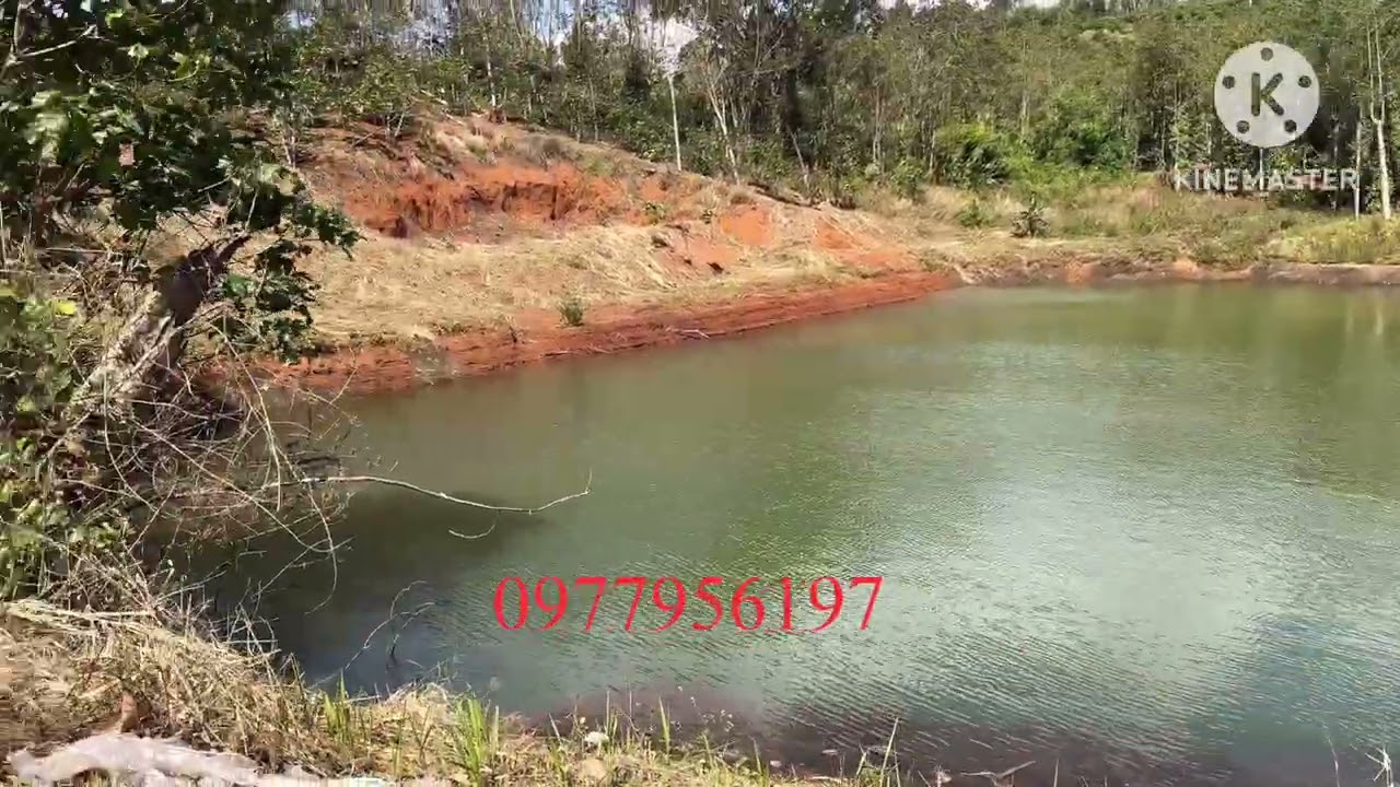 Dat dep Gia re 9sao6 giá rẻ 0977956197