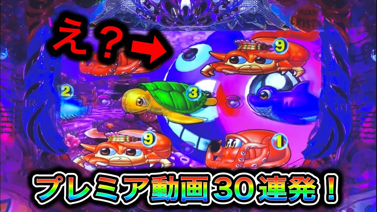 【CR大海物語4】プレミアコレクション！
