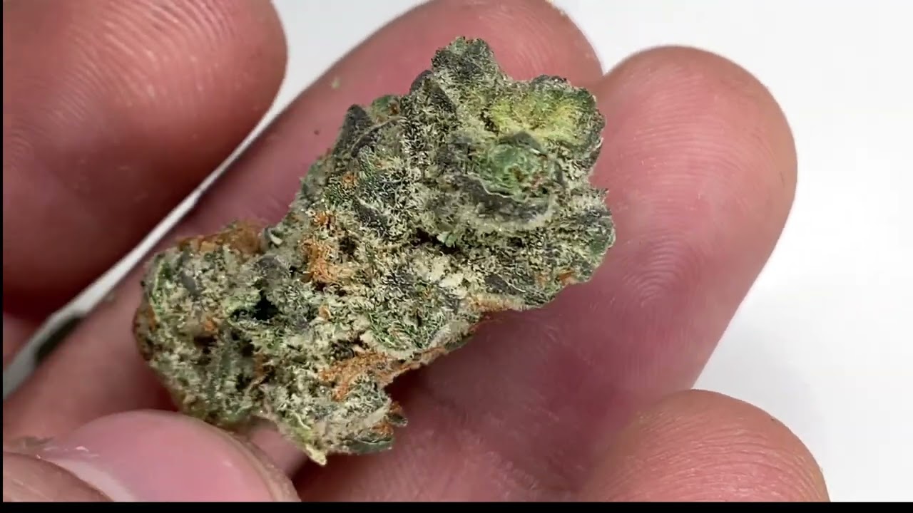 Cresco Crumpets Review