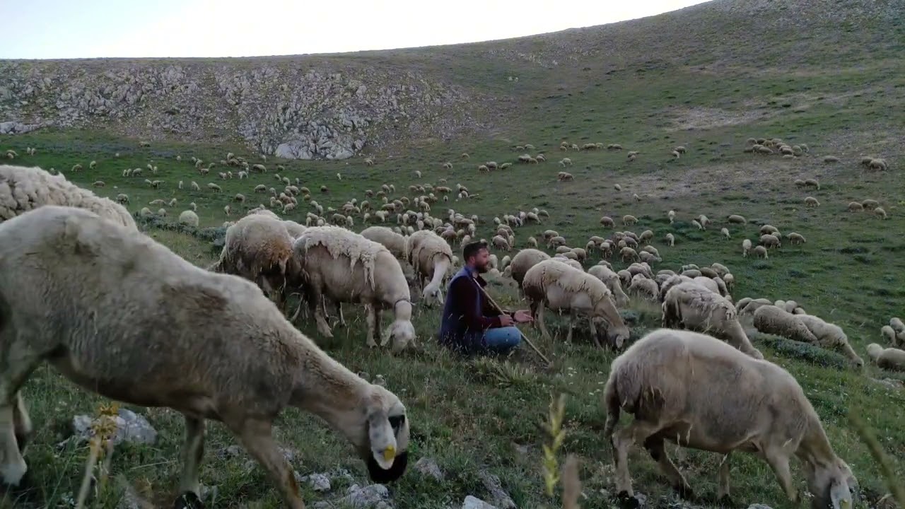 YÜCE DAĞ BAŞINDA YAĞAN KAR İDİM __ Tarık Kara (Bozkırın Avazı)