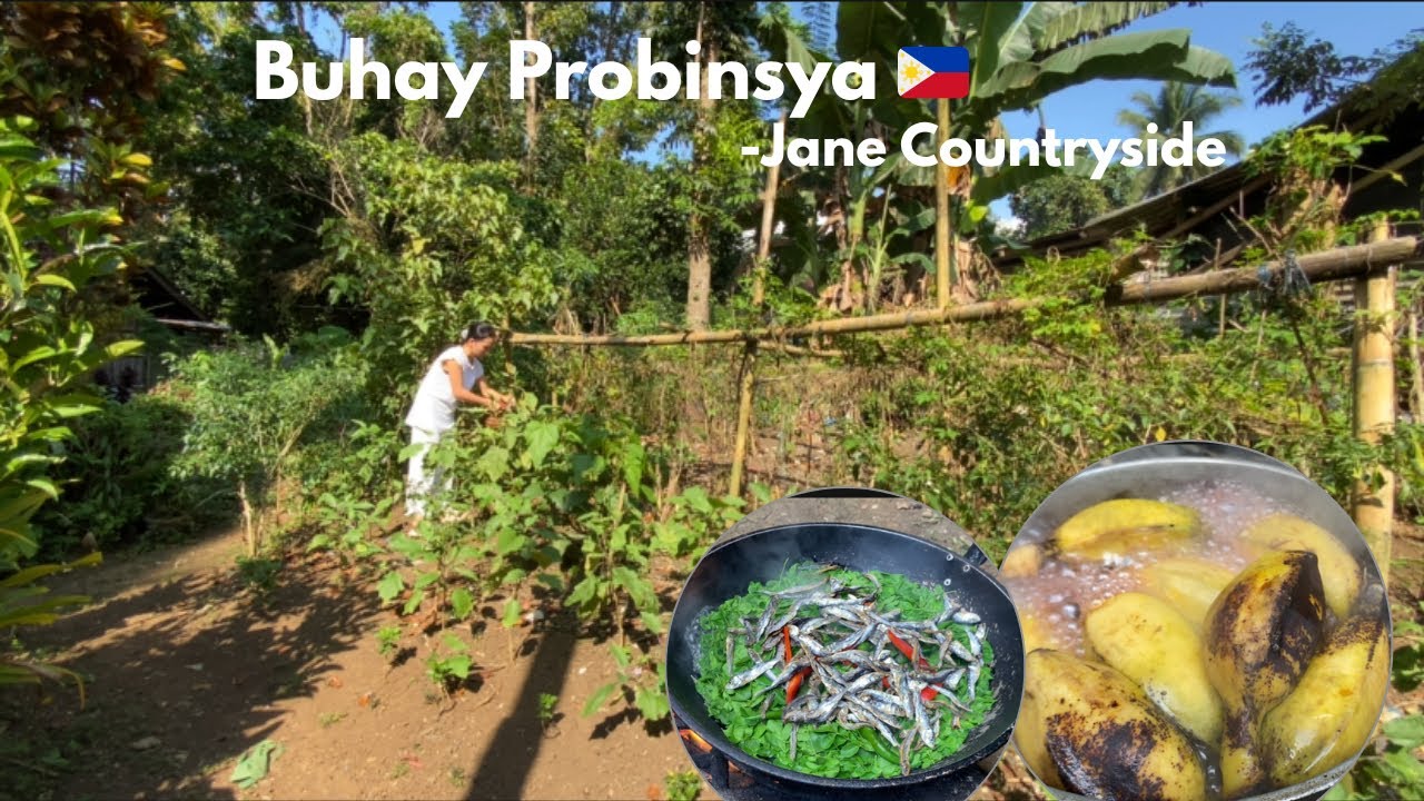 Life in the Province | Harvest fresh vegetables and cook Ginataang Gulay with Tuyo 