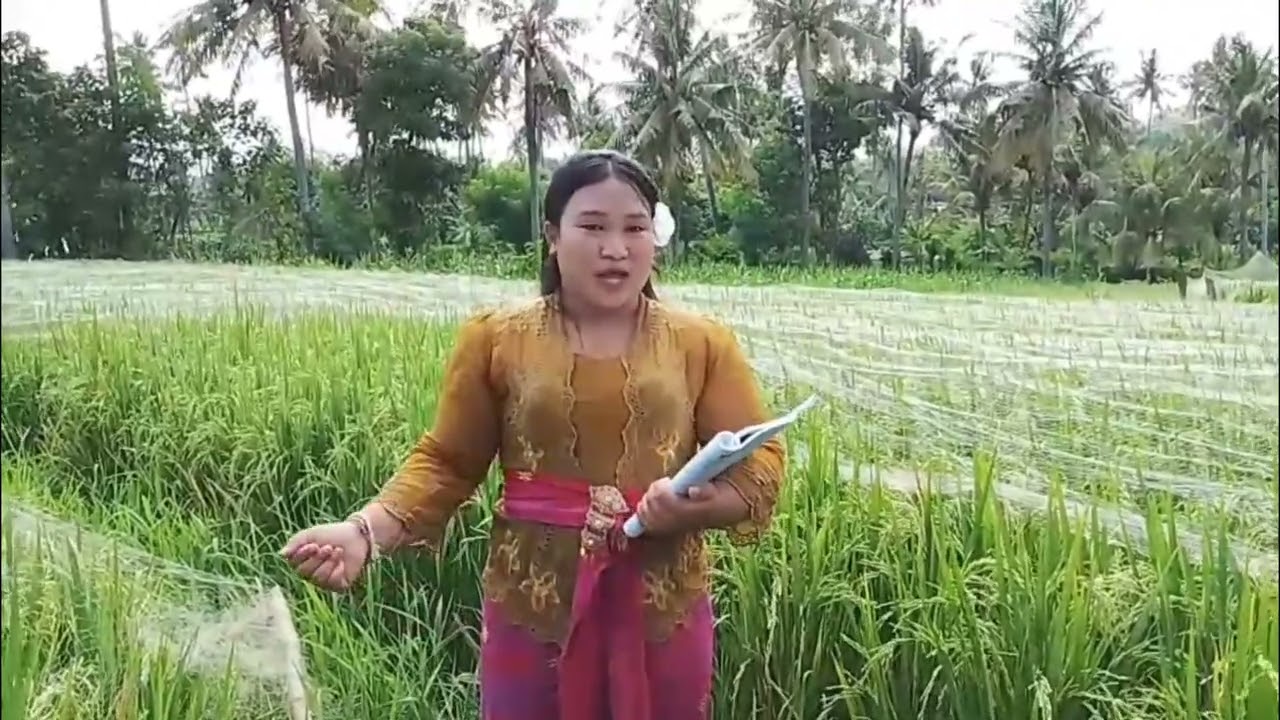 Puisi bali anyar sane mamurda LIANG LAN GALANG.(nama:luh juli purniantini no:23 kelas:10 kuliner 1)