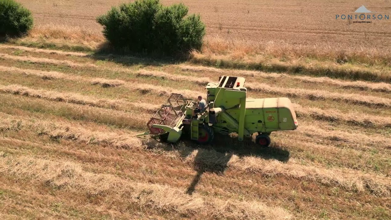 🚜💨[Claas Mercure de 1968] Moisson de blé tendre à Pontorson avec une moissonneuse collector !😍