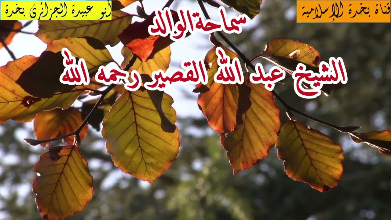 من أخطر البلايا هجرنا للقرآن و تعلقنا بالهاتف ---سماحة الوالد الشيخ عبد الله القصير رحمه الله