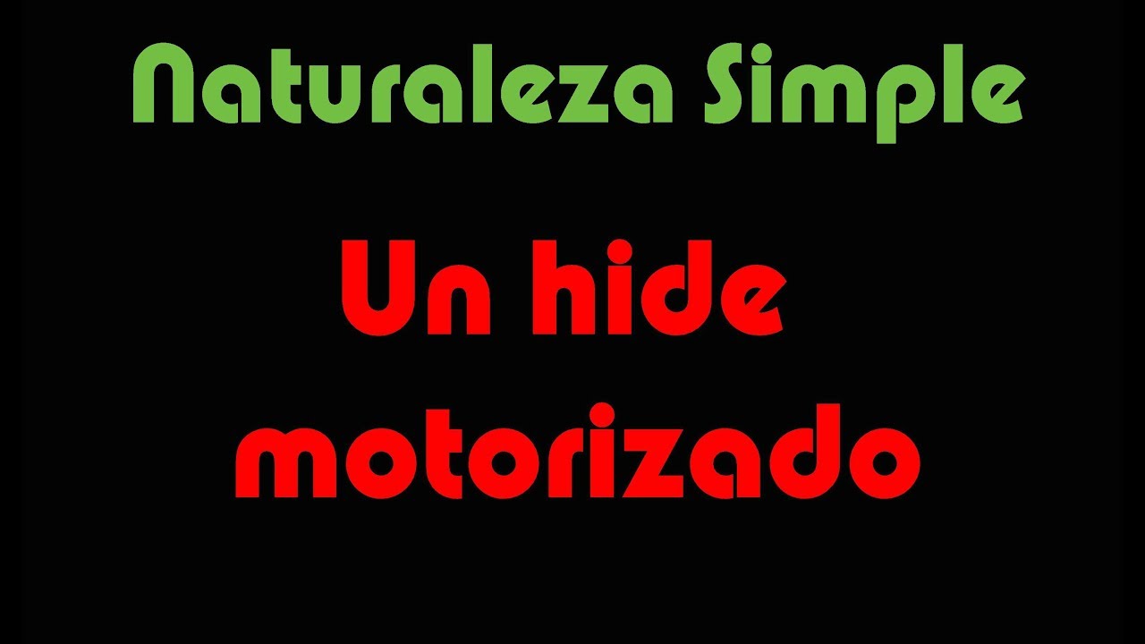 MOTORIZED HIDE (English subtitles)
