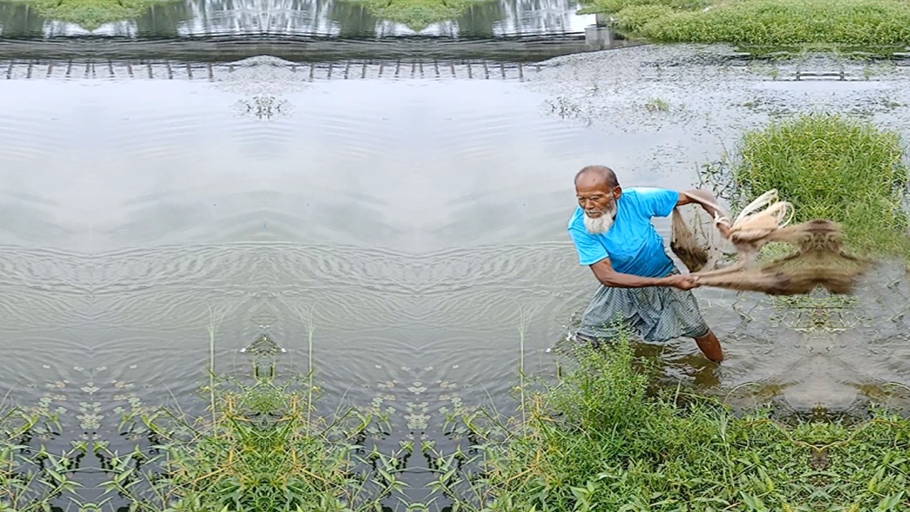 Best Village Pond Fishing - New Fishing Video - Fishing Video With Net
