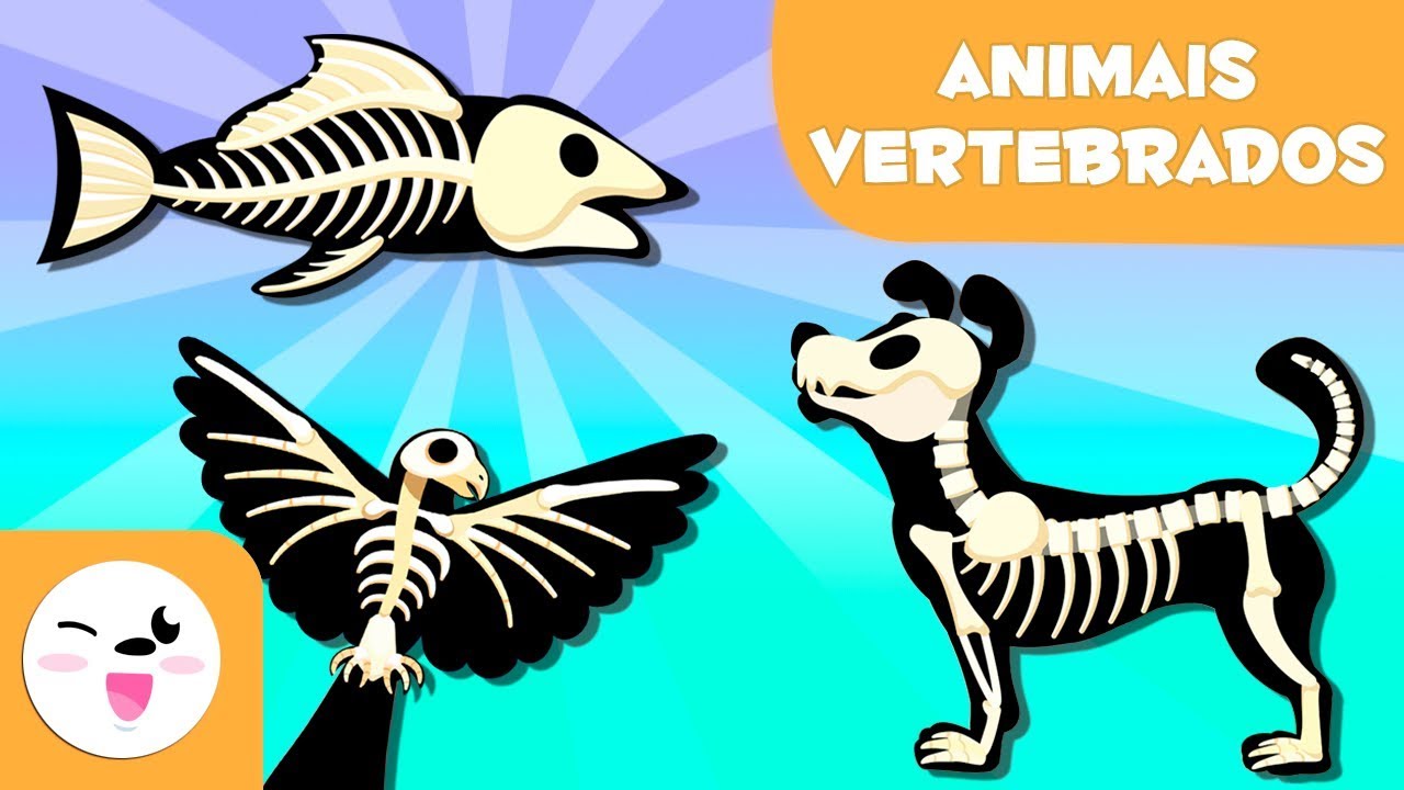 ANIMAIS VERTEBRADOS para crianças - Mamíferos, aves, répteis, peixes e anfíbios
