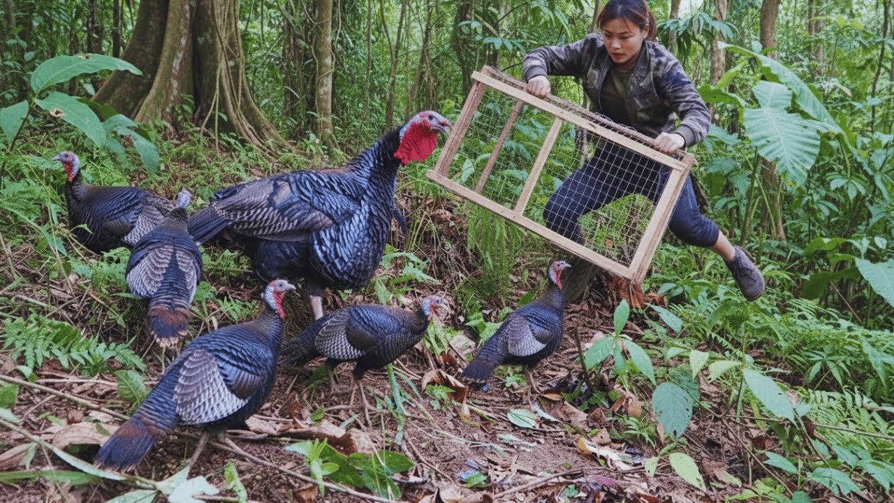 Survival Alone | Tracking and Chasing Wild Turkeys, Night Fishing and Cooking in the Wild