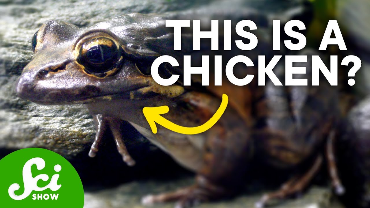 8 Species With Awful Names