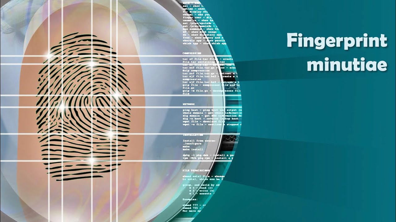 Fingerprint minutiae & ACE V