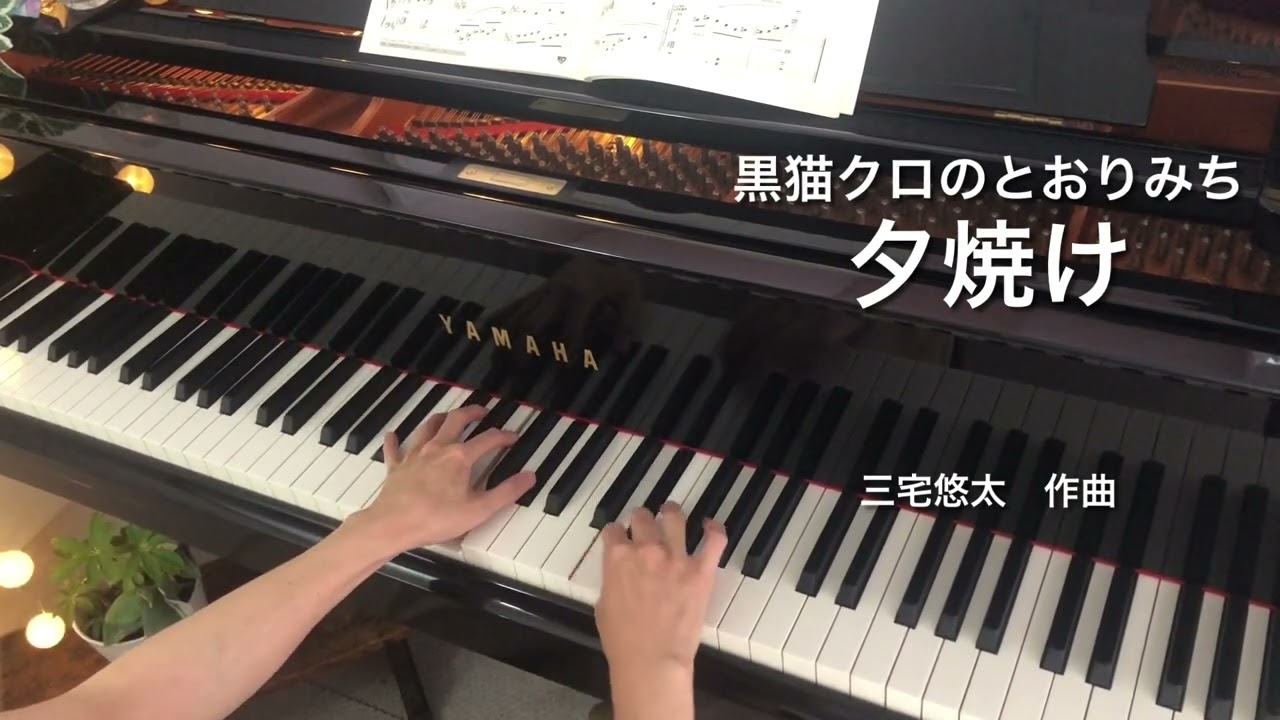 夕焼けSunset Glow /三宅悠太 Yuta Miyake