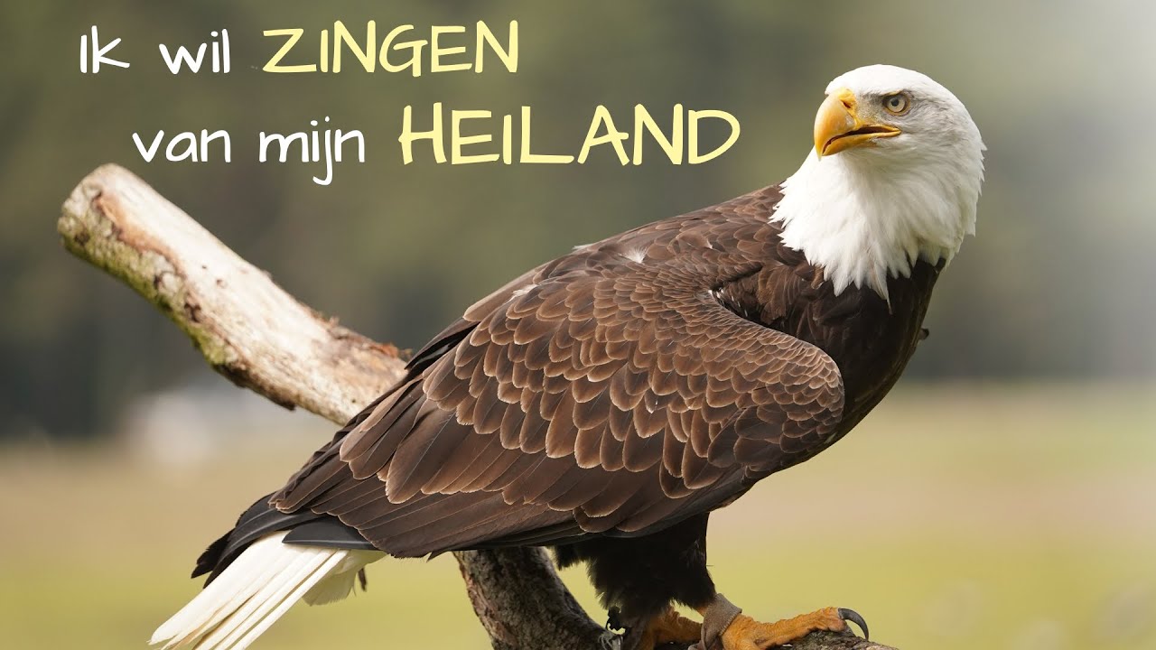 Ik wil ZINGEN van mijn HEILAND – Piano improvisatie