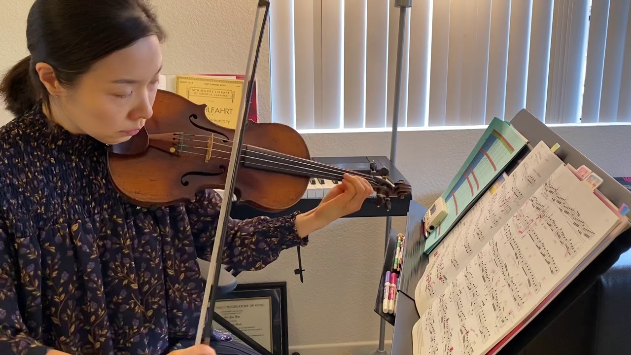 Concerto in A minor, Op. 3, No. 6, 1st mvt by Vivaldi, Suzuki Violin book 4 No. 4, medium tempo