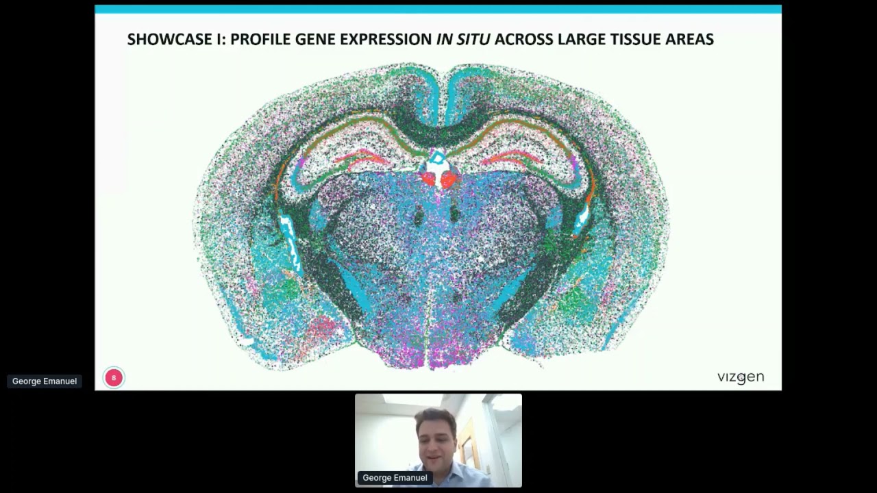 Molecular atlassing with MERFISH reveals the spatial organization of mouse and human tissues