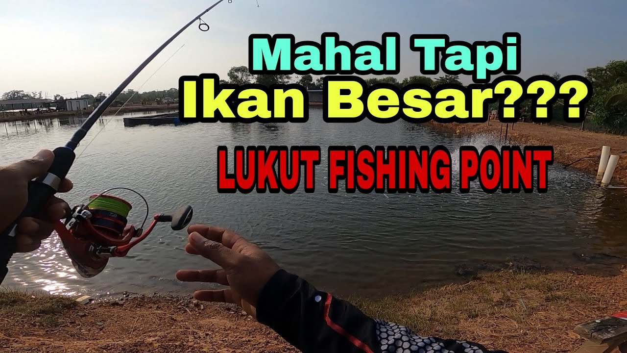 Mancing Kolam Air Masin | LUKUT FISHING POINT