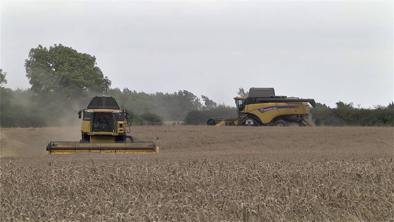 GRASSMEN TV - Country Crest, Episode 1: The Main Man
