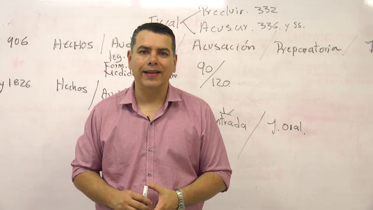 Estructura del proceso penal (parte 2)