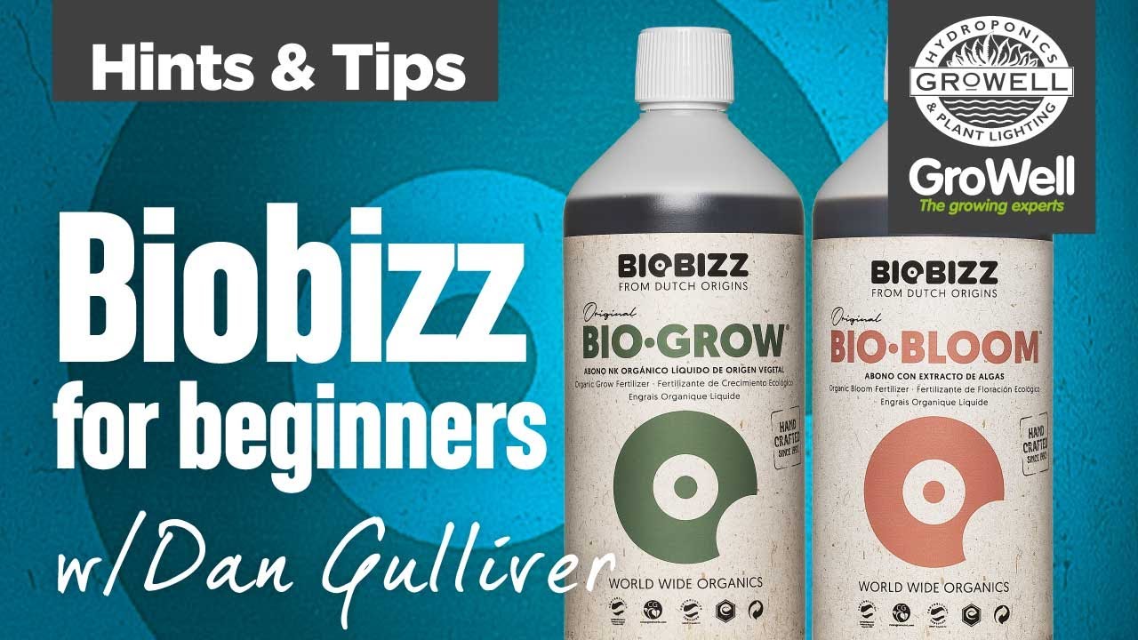 BIOBIZZ для начинающих! с Дэном Гулливером | Советы и подсказки