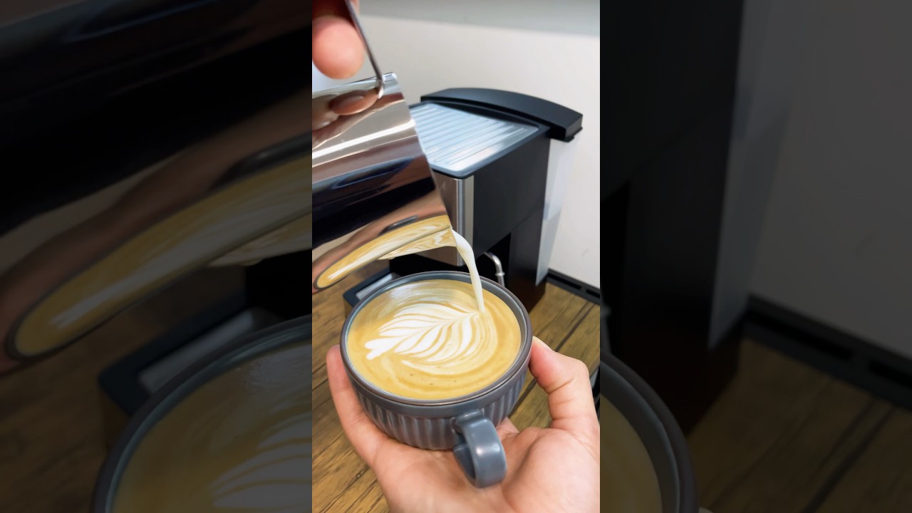 Prática de Vaporização e Latte Art Philco 15 bar