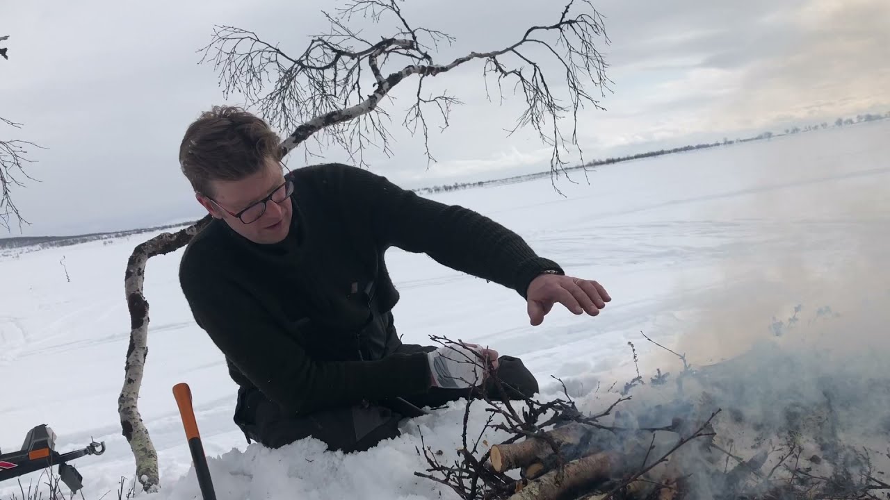 Tunturi nuotio. Kuinka tehdään nuotio tuoreesta koivusta.