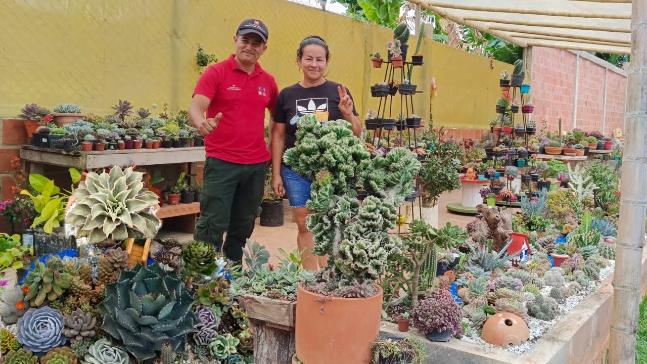 El jardín de jasbleidy CACTUS Y SUCULENTAS🌵Nos enseña sus cuidados ,PAVAS, VALLE DEL CAUCA COLOMBIA.