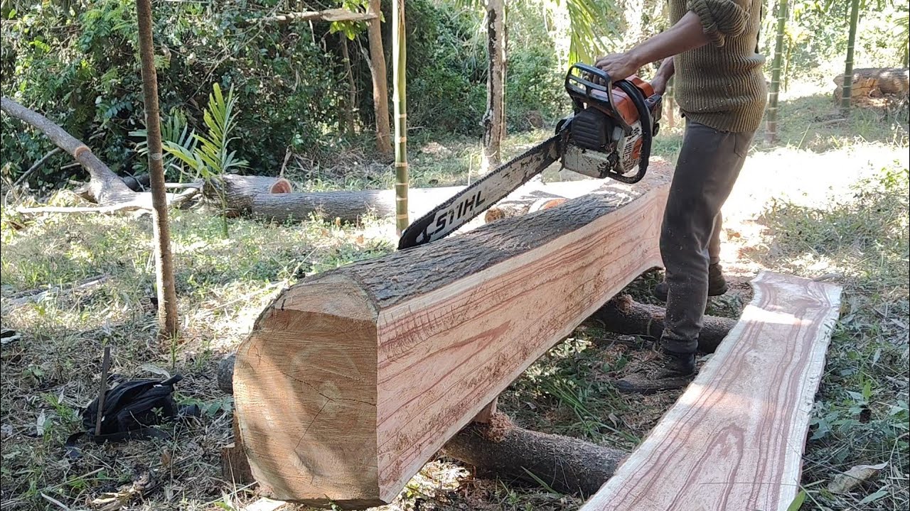 The skills of the chainsaw operator to make beautiful board size 2inch &times; 8inch &times; 84cm with Stihl382