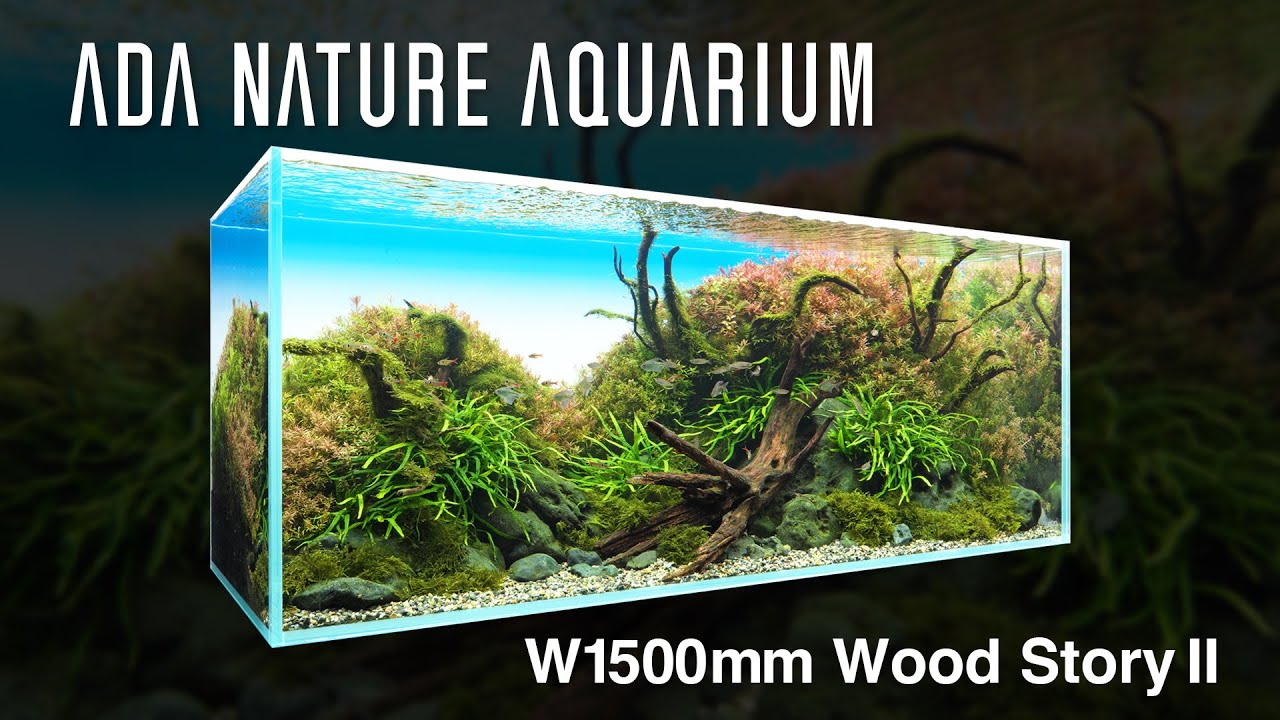 [ADAview] Wood Story II ／ ウッドストーリー II - W1500mm Nature Aquarium Layout-【EN/JP Sub.】
