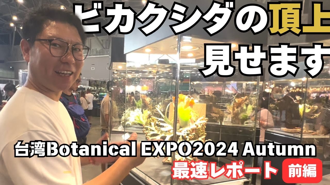 【台湾 Botanical EXPO2024 Autumn】世界最大ビカクシダイベント最速現地レポート！