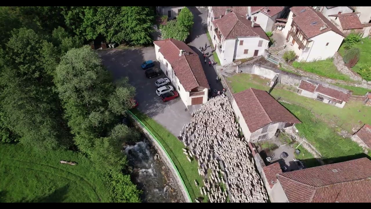 Transhumance Neste Barousse 2023